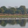 Udhwa Lake