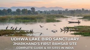 Udhwa Lake Bird Sanctuary declared the first Ramsar site in Jharkhand with wetland birds and landscape
