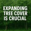 Expanding tree cover is key for India’s sustainability goals and climate change mitigation. Learn why afforestation is crucial for a greener, net-zero future.