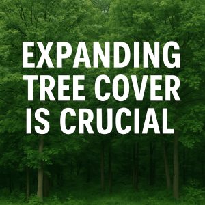 Expanding tree cover is key for India’s sustainability goals and climate change mitigation. Learn why afforestation is crucial for a greener, net-zero future.
