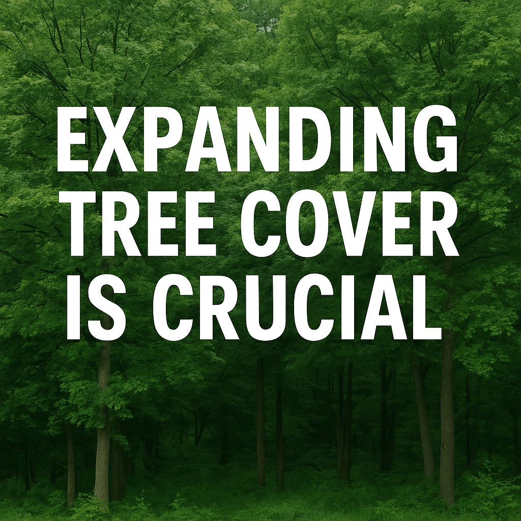 Expanding tree cover is key for India’s sustainability goals and climate change mitigation. Learn why afforestation is crucial for a greener, net-zero future.