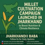 Millet Cultivation Campaign in Jharkhand promoting nutrition and sustainable agriculture.