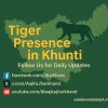 Map of Jharkhand with tiger silhouette and headline “Tiger Presence in Khunti” – tribal motifs and forest colors used.
