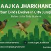 Discover how urban ecology and bird evolution trends reveal cities as evolutionary labs, transforming wildlife traits like plumage color. Explore the science, policy impact, and what it means for sustainable cities.