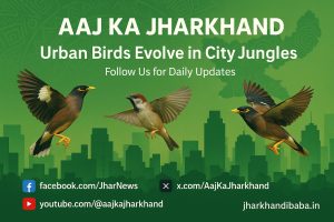 Discover how urban ecology and bird evolution trends reveal cities as evolutionary labs, transforming wildlife traits like plumage color. Explore the science, policy impact, and what it means for sustainable cities.
