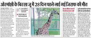 Tragic Death of Giraffe "Misti" at Ranchi's Birsa Zoo