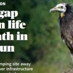 Dehradun Vulture Conservation Case Study: Saving Raptors