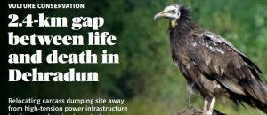 Dehradun Vulture Conservation Case Study: Saving Raptors